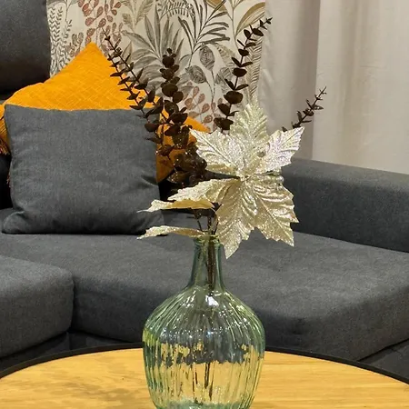 Camino Termal Ourense Apartmán A Valenza