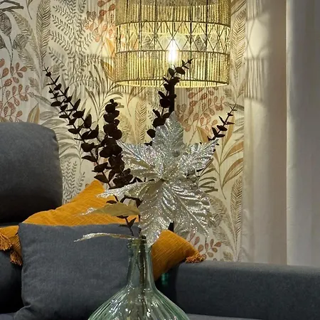 Camino Termal Ourense Apartment