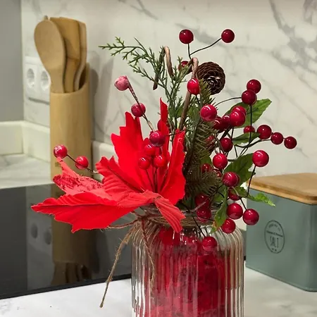 Apartmán Camino Termal Ourense A Valenza